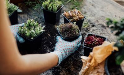 Atelier jardinage