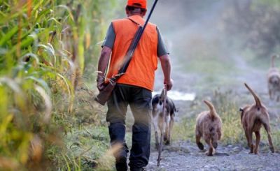 Battues de chasse 2023-2024