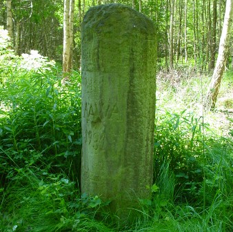 Borne militaire romaine dans la forêt