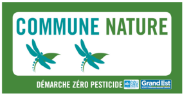 Commune nature : Deux libellules pour weitbruch